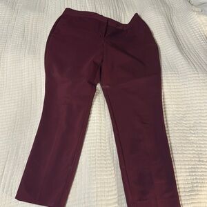 Burgundy express columnist dress pant